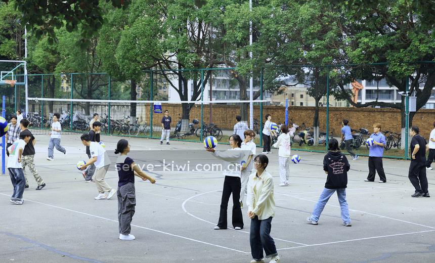 篮球实时排名智谱体育热力图